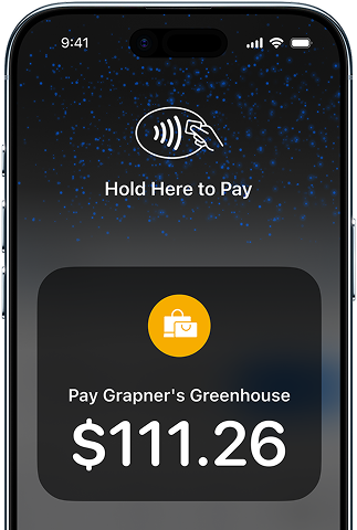 pay